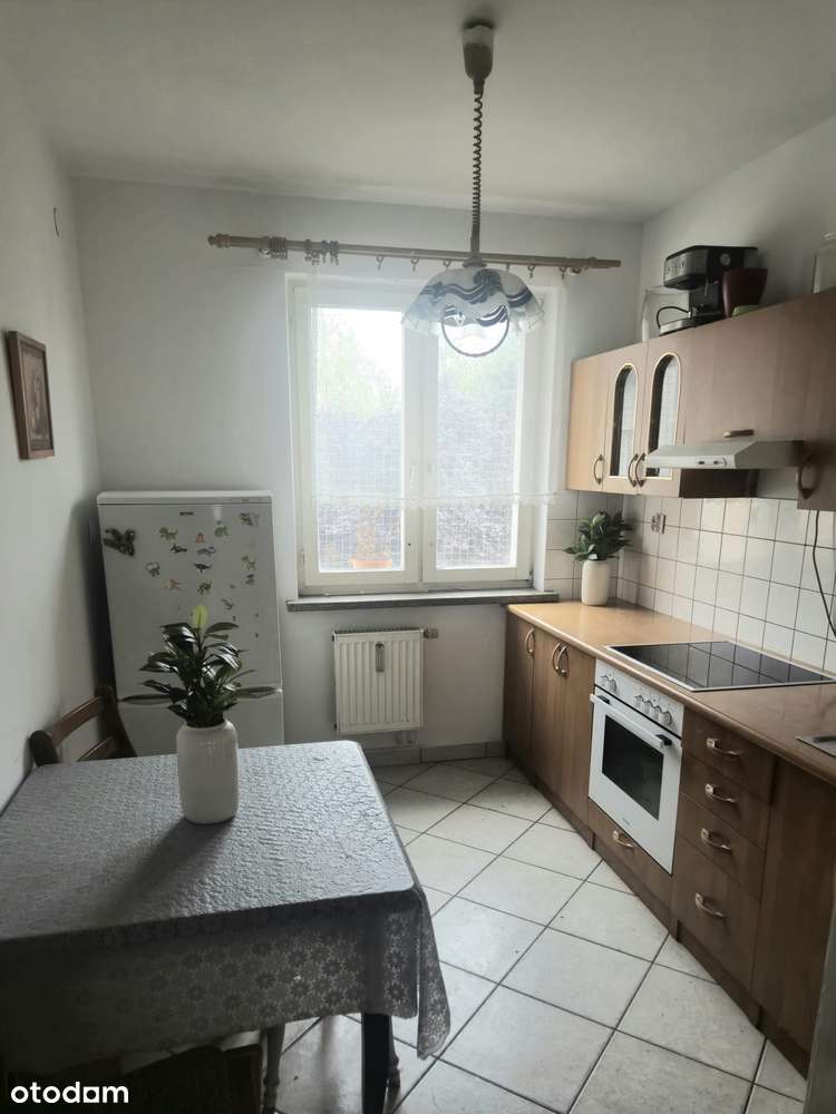 Mieszkanie 3- pokojowe z Balkonem-2