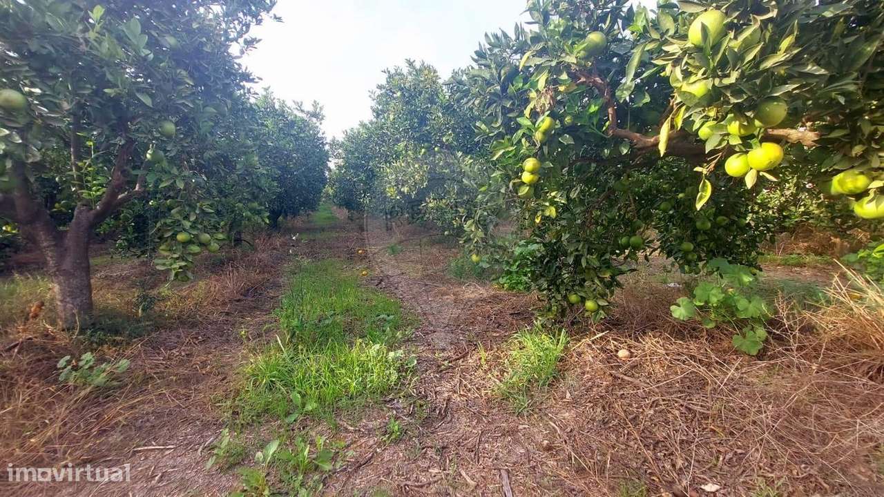 Terreno  para venda - Grande imagem: 5/5