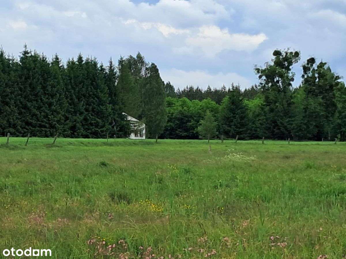 Działka pod rekreację i lokatę-1