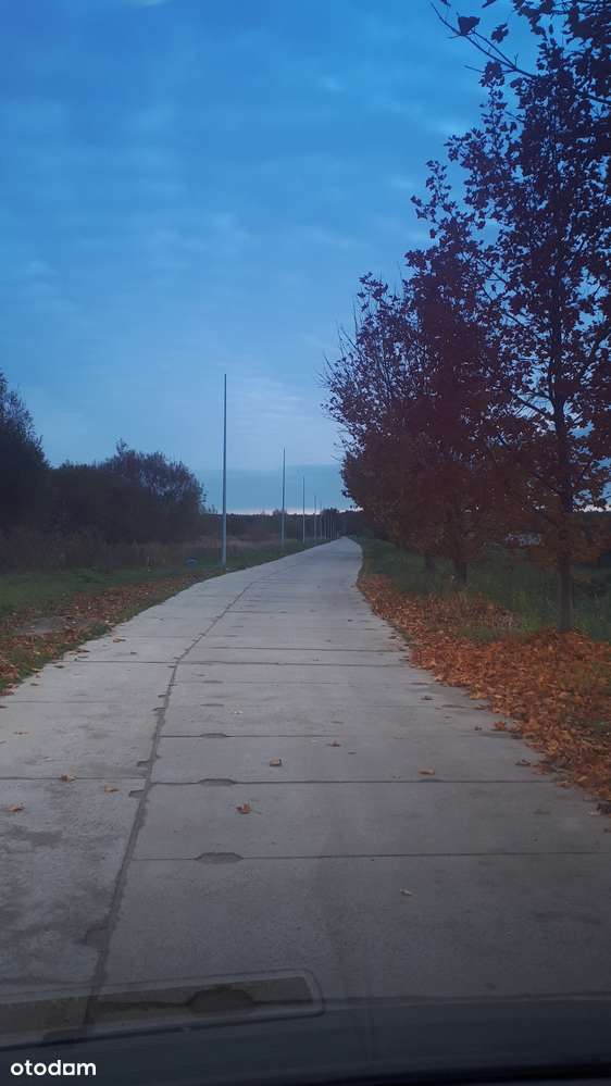 Z warunkami 4200m2 w Dobrej-2