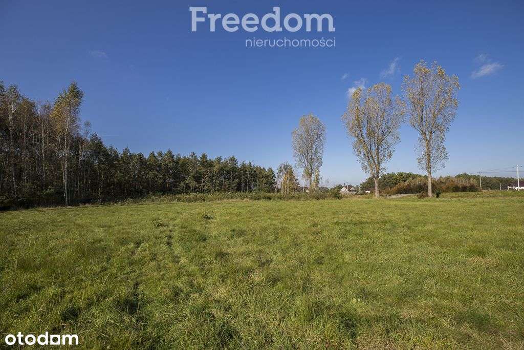 Działka inwestycyjna przy Dk94 – Machowa-5