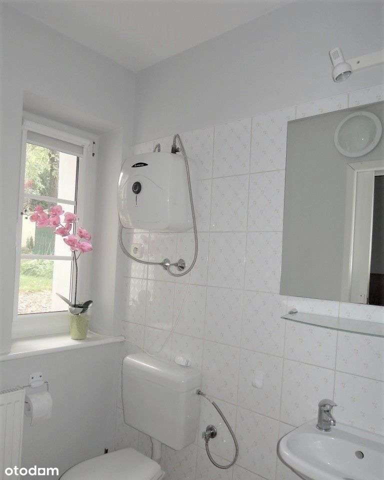 Grunwald 81m,biuro,usługi,doskonała - Pełny obrazek: 4/16