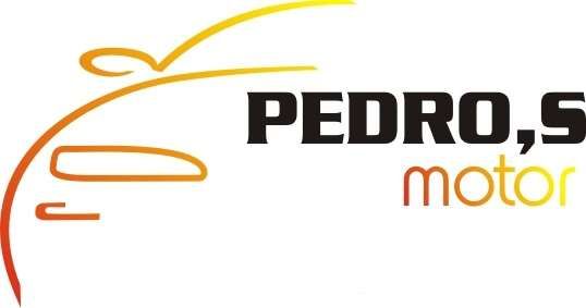 PEDROS MOTOR logo