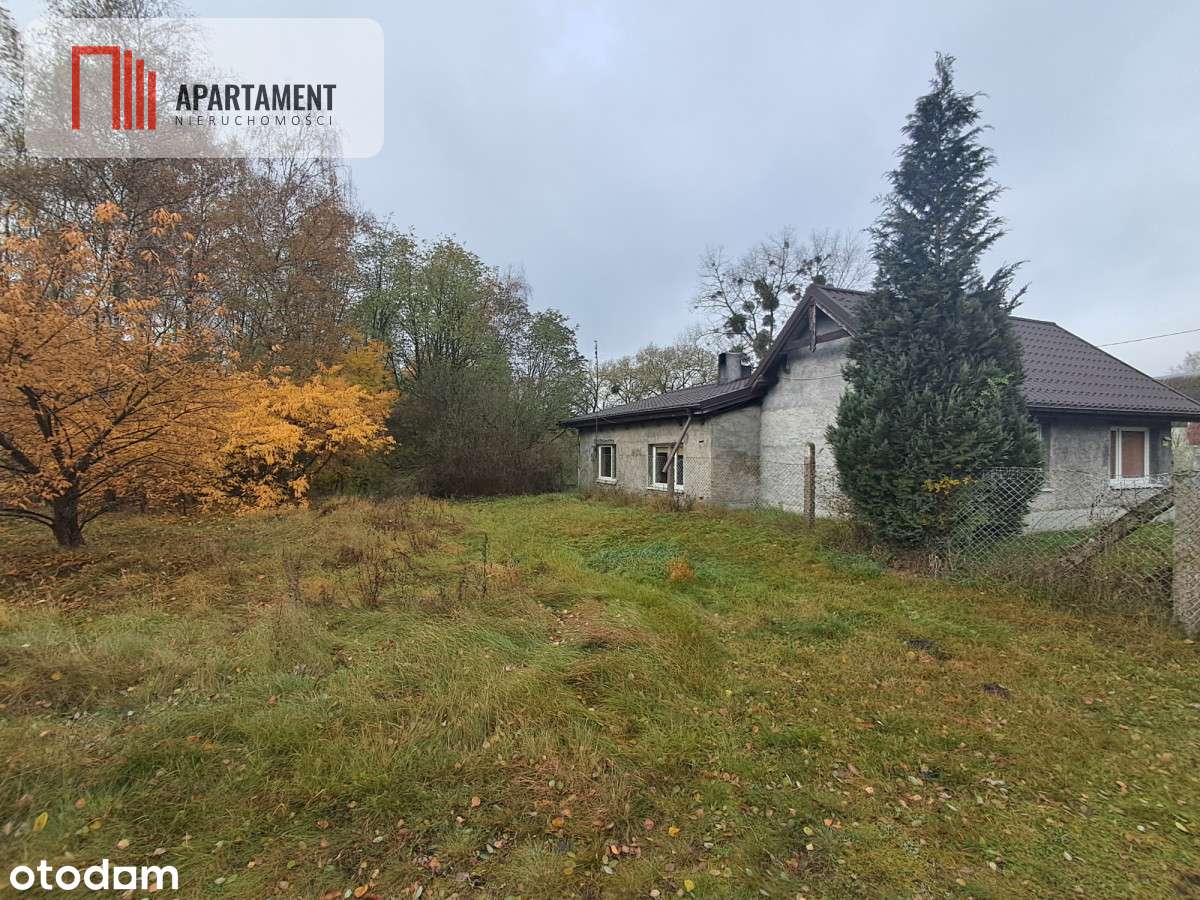 Uroczy domek w lesie. Gmina Kcynia - Pełny obrazek: 5/12