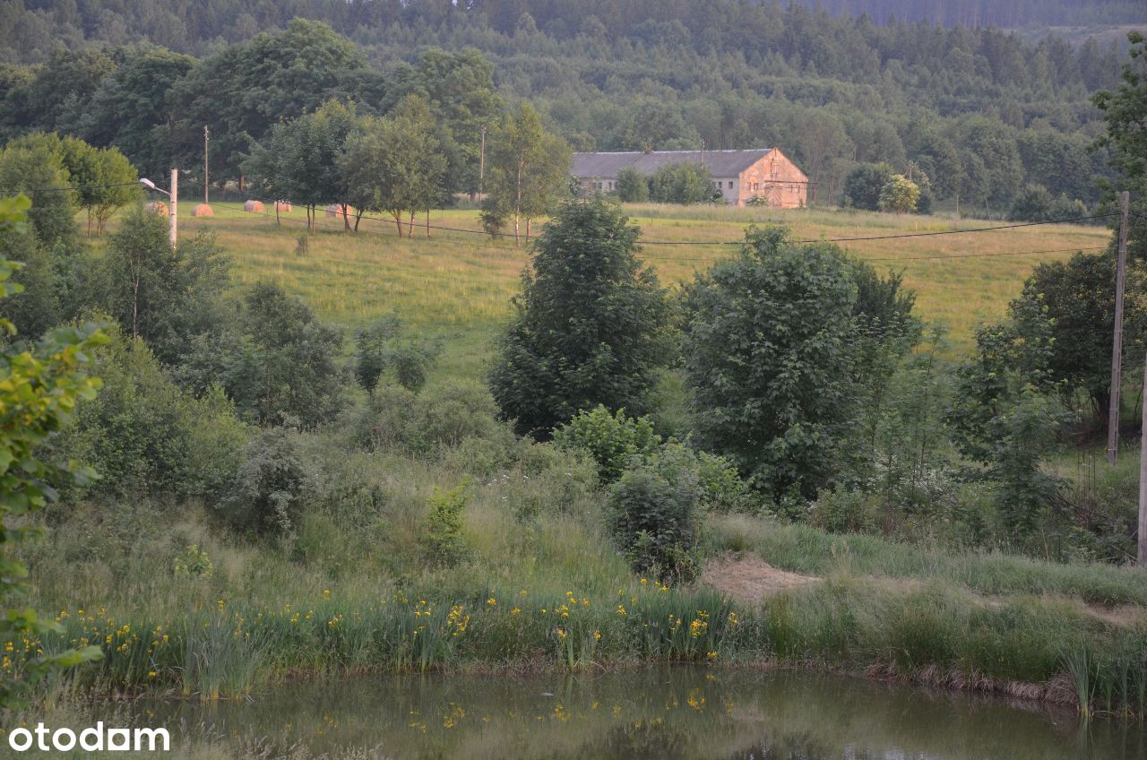 Verkaufe Bergbauernhof mit großer Landwirtschaft