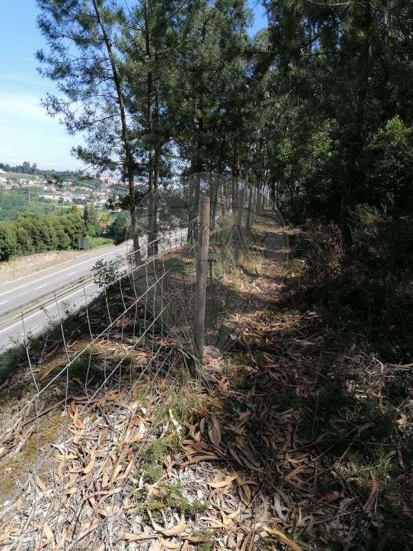 Terreno  para venda - Grande imagem: 5/7