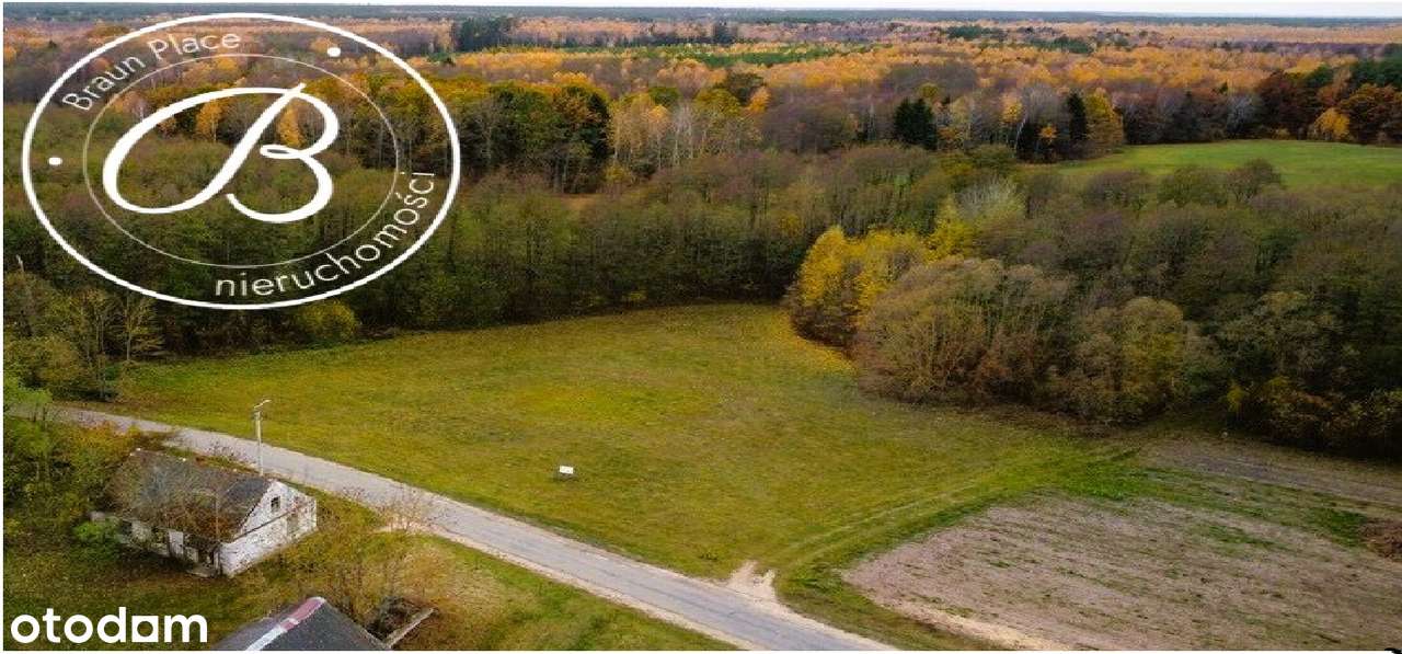 ⭐⭐Działki nad jeziorem Dreństwo, Rybczyzna o pow.  4504 m²  i 7101 m²⭐ - Pełny obrazek: 5/5