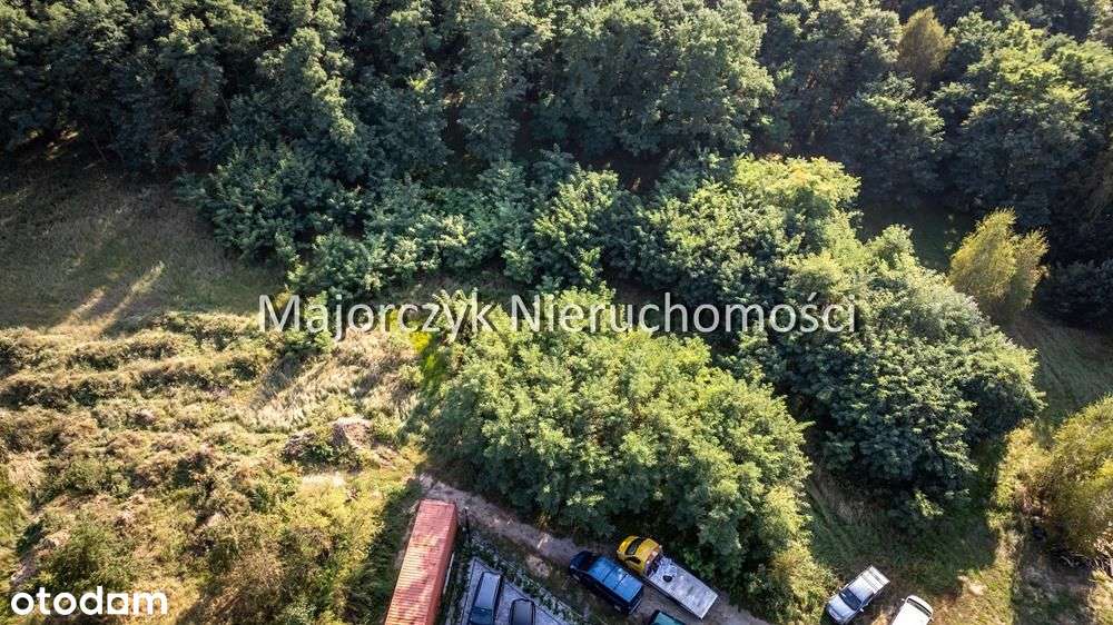 Działka otoczona lasem – Włoszakowice, ul. Jodłowa - Pełny obrazek: 4/18