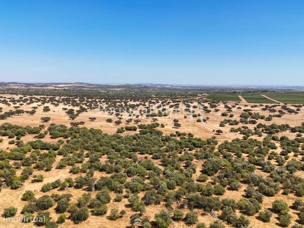 Herdade com 477 hectares no Alentejo - Grande imagem: 5/60