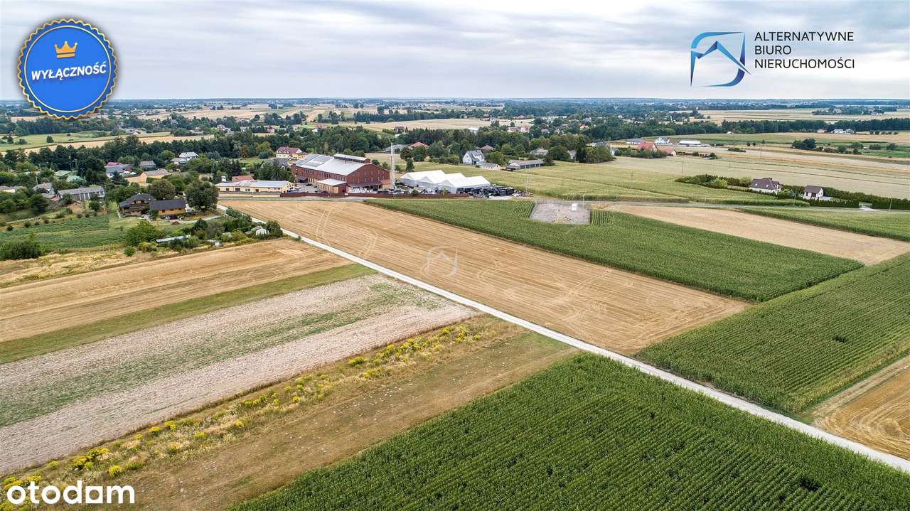 Wyjątkowe działki budowlano-rolne - Pełny obrazek: 5/17