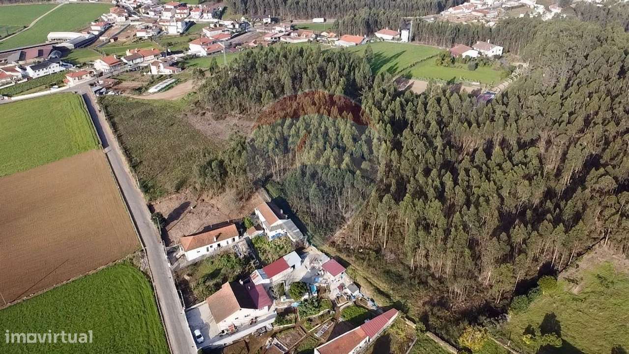 Terreno  para venda - Grande imagem: 4/9