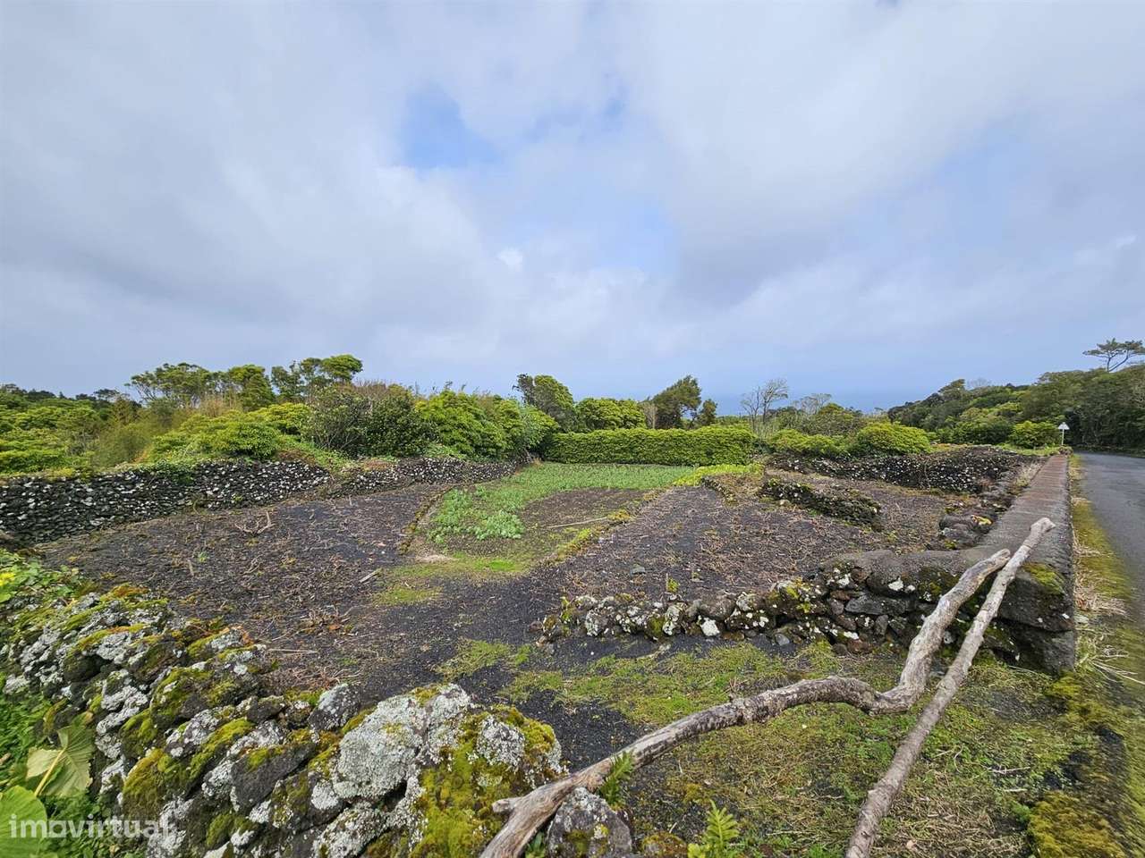Terreno Rústico na Ilha do Pico - Lajes - Grande imagem: 4/5