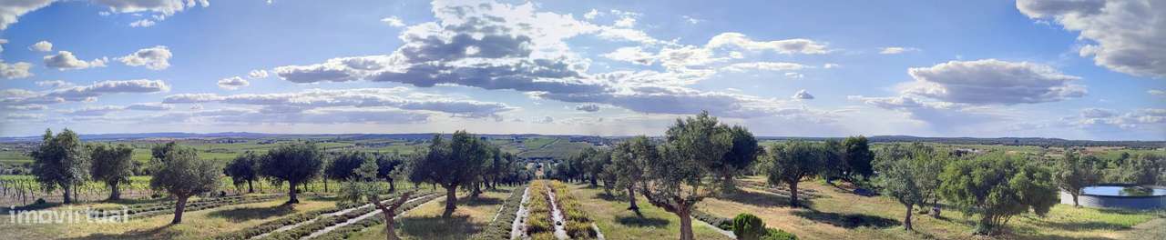 Herdade de 11,1 hectares com moradia T2,PIP favorável para Hotel Rural-15