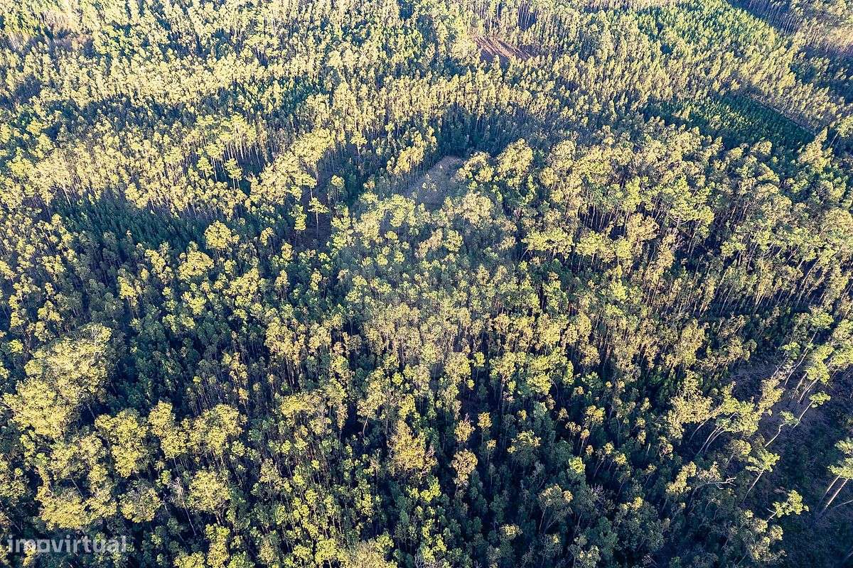 Terreno  para venda - Grande imagem: 3/7