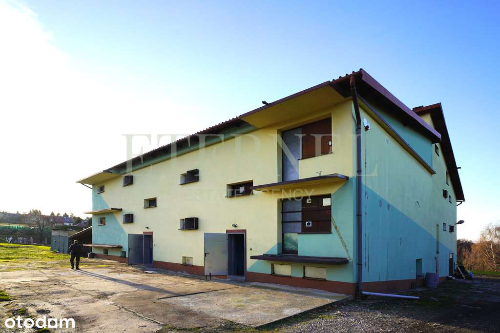 Hala magazynowo-produkcyjna z działką 51 arów-3