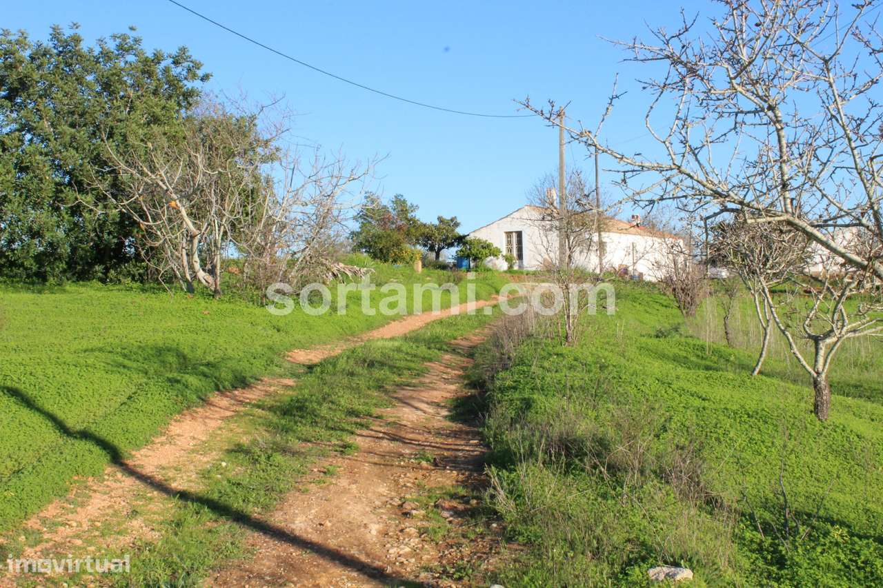 Terreno Rústico  Venda em Estômbar e Parchal,Lagoa (Algarve) - Grande imagem: 4/7