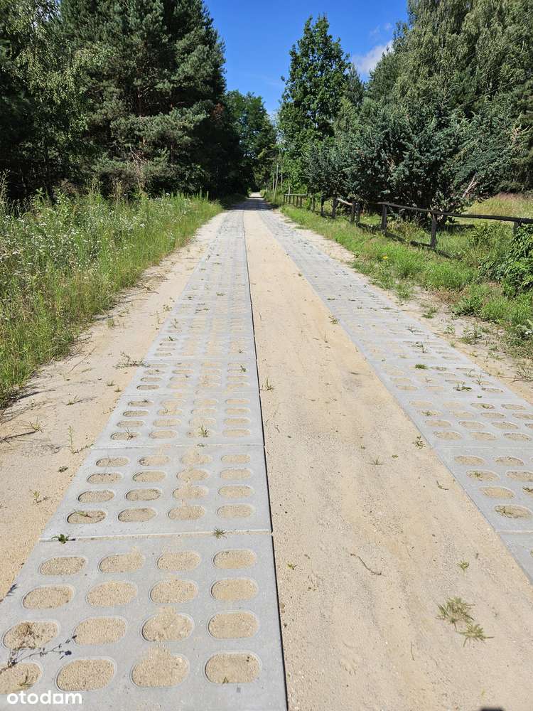 Działka, 32 900 m², Wola Uhruska - Pełny obrazek: 4/16