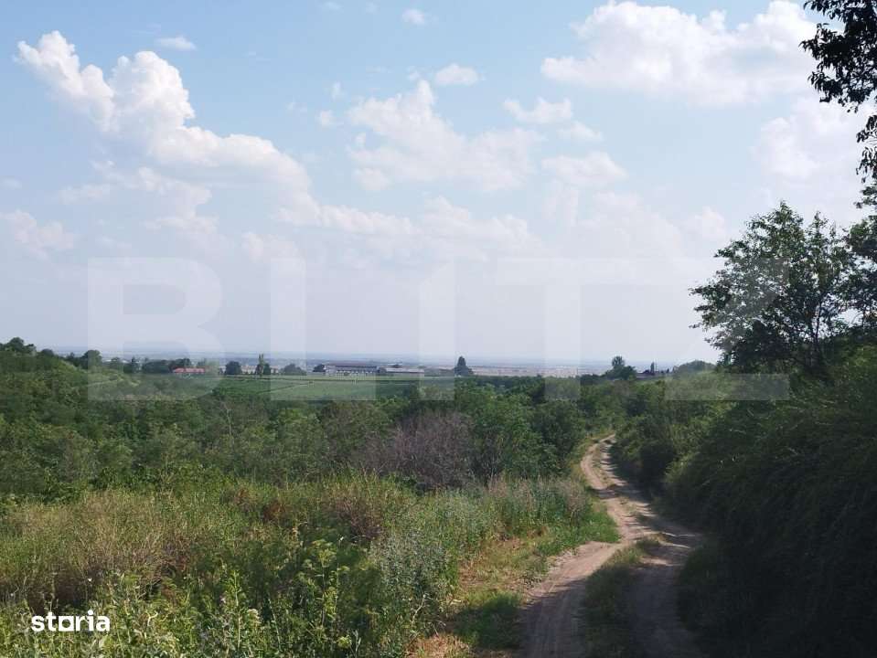 Teren, 3600mp, Drumul Vinului - Imagine principală: 4/7