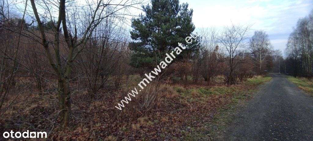 ⭐⭐⭐⭐ Działka Budowlana 4851 M Budy Grzybek ⭐⭐⭐⭐-7