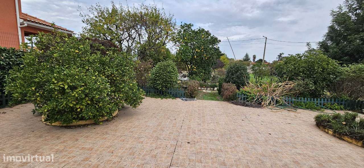 Moradia Térrea / Quintinha em Foros de Salvaterra-7