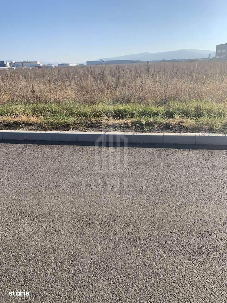 TEREN INTRAVILAN - ZONA INDUSTRIALA VEST-9000 mp, sau 18000 mp - Imagine principală: 4/7