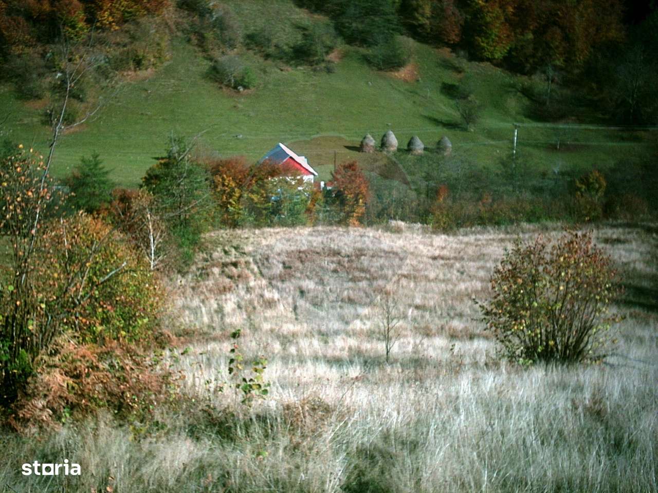 Teren 6700 mp, Apuseni, Pietroasa, Valea Aleului, Bihor, De Vânzare - Imagine principală: 5/5