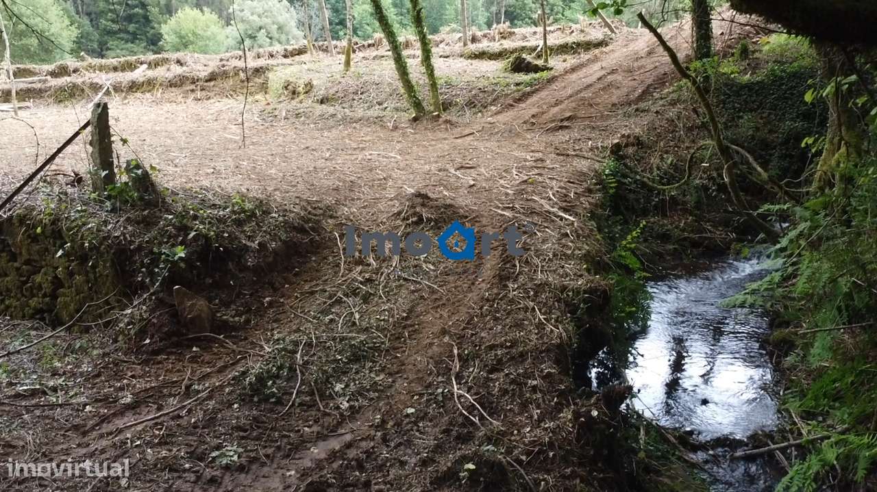 Quinta/Moradia em Pedra com 5.500 m² de Terreno em Fornelos – Ponte-17