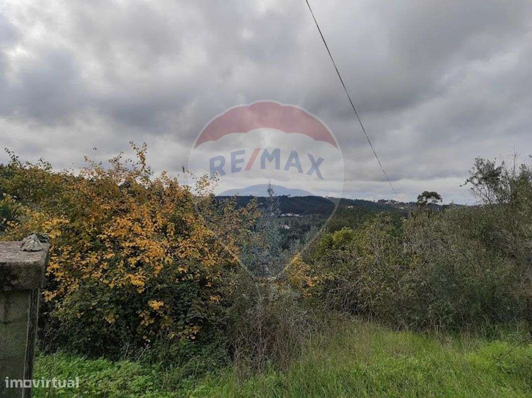 Terreno  para venda - Grande imagem: 5/6