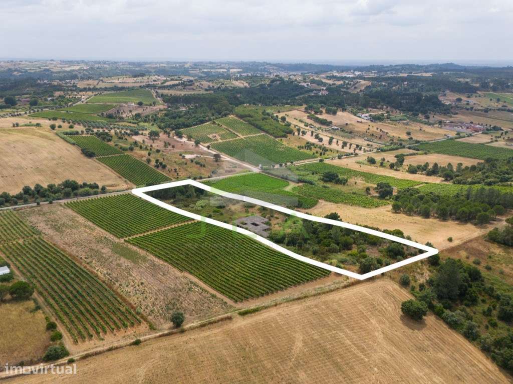 Terreno com 15.840m2 em Aveiras de Cima-10