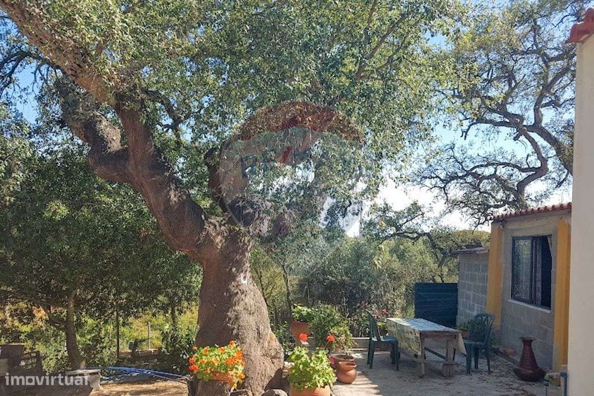 Terreno  para venda - Grande imagem: 4/14