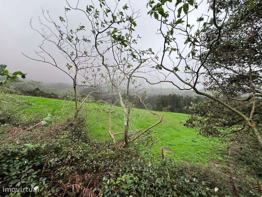 Terreno  para venda - Grande imagem: 4/9