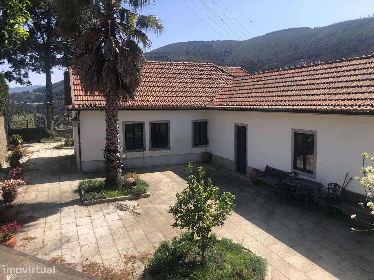 Quinta espetacular na região do vinho verde em plena produção-3