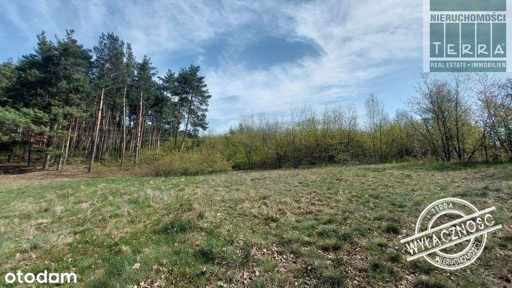 Działka dla dewelopera - Pełny obrazek: 5/6