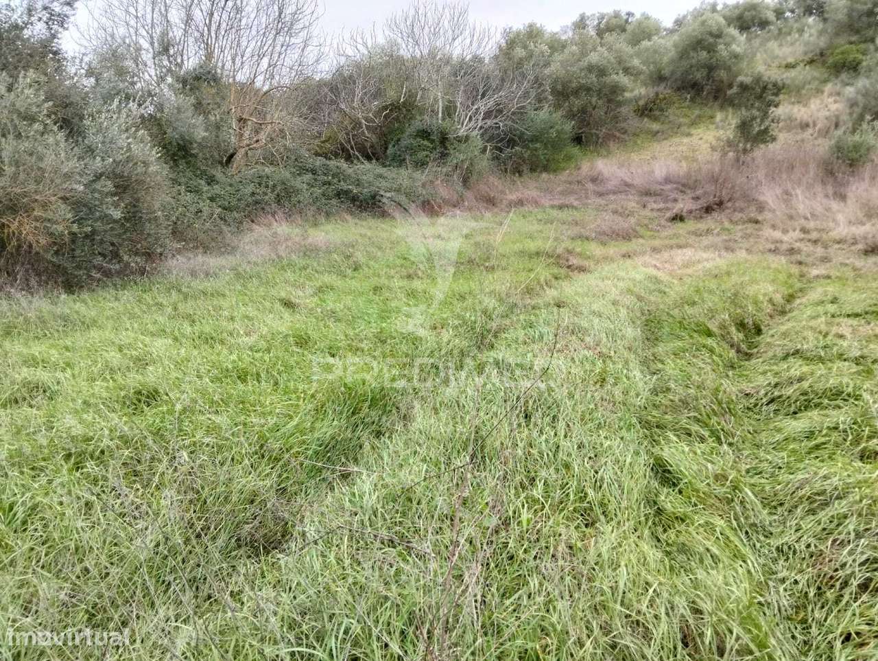 Propriedade Rústica com 9.750 m² em Juromenha – Alandroal - Grande imagem: 4/14