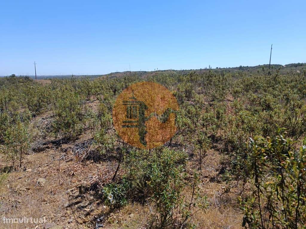 TERRENO COM 34.700 M2 - POSSIBILIDADES DE CONSTRUIR UM ARMAZEM - PR...-7