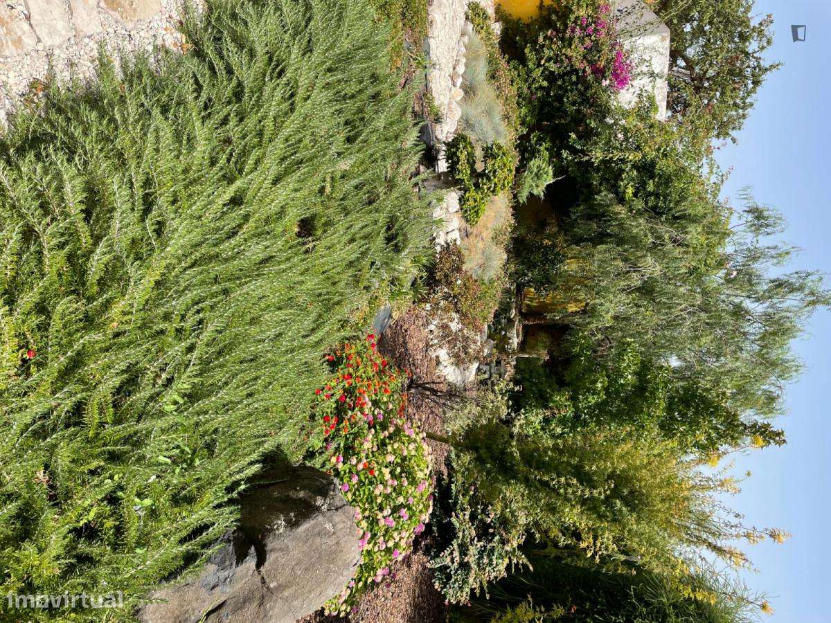 Quarto - localizado em Benfica Lisbon - Grande imagem: 2/10