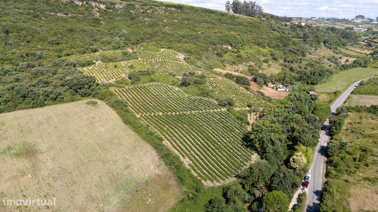 Terreno  para venda - Grande imagem: 2/19