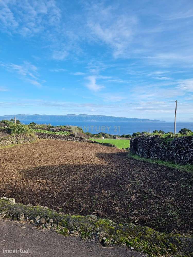 Ilha do Pico - Moradia T2 para recuperação com projecto - Grande imagem: 5/16
