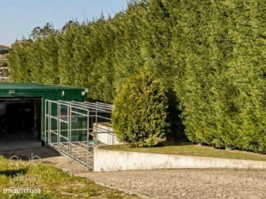 Quinta dos Moinhos - T4 de 8.300 m² de terreno em Penafiel para VENDA-14