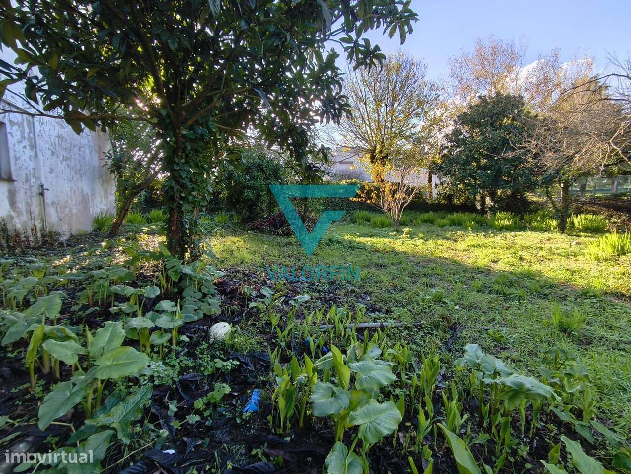 MORADIA T3+2 para Recuperar com Garagem e Terreno | Maceira – Leiria-10
