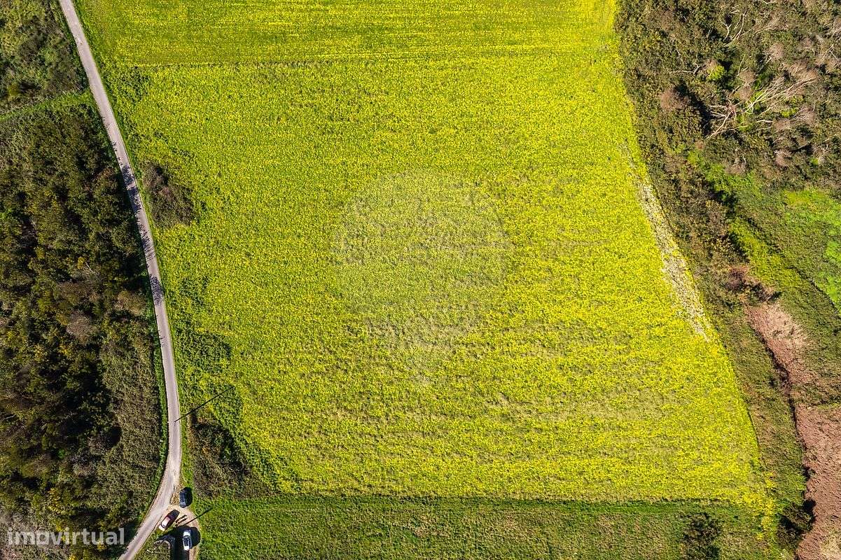 Terreno  para venda-21