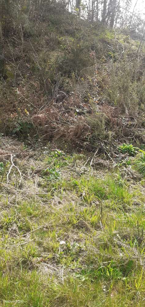 Terreno urbanizável em Sanguedo, Santa Maria da feira-8