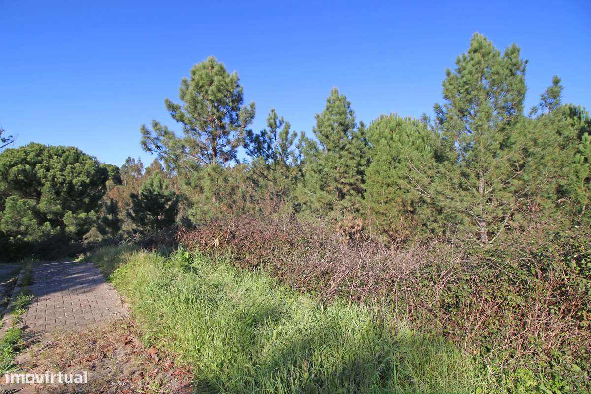Lote de Terreno na Urbanização de Santa Luzia em Abrantes-9
