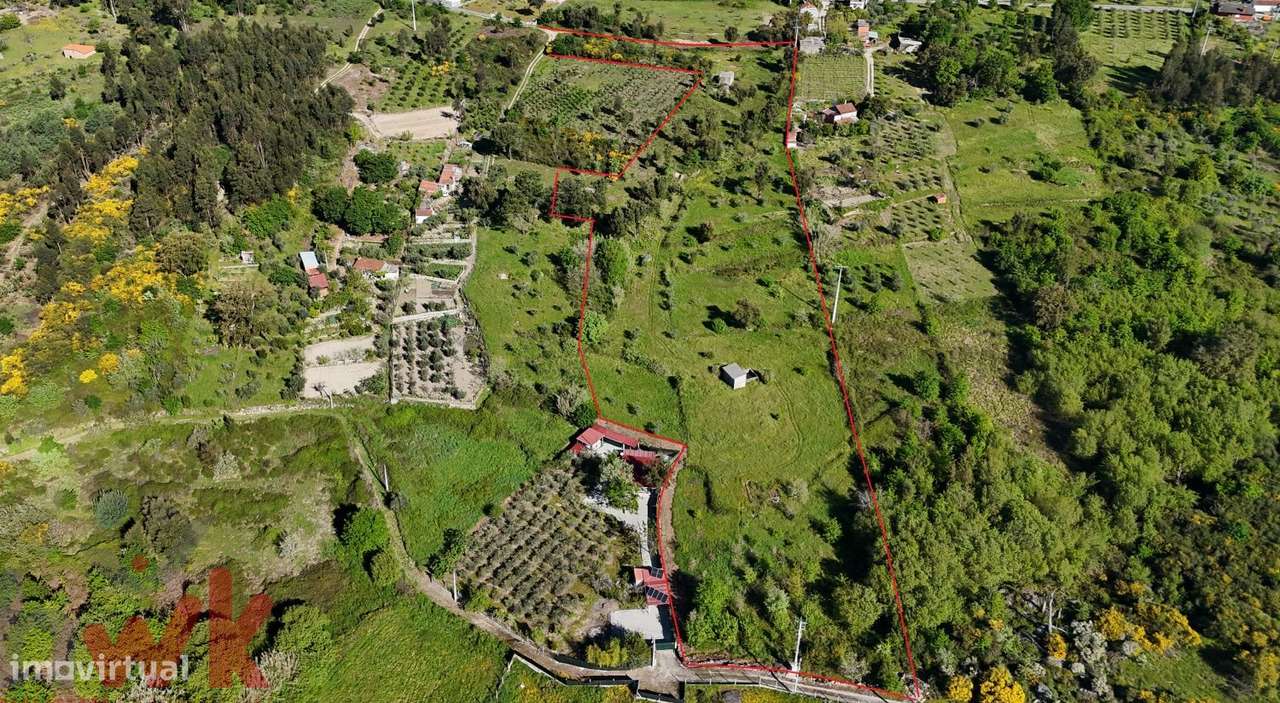 Terreno de cultivo com 1.5 hectares e vistas para a Serra do Açor - Grande imagem: 4/18