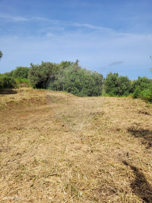 Terreno  para venda