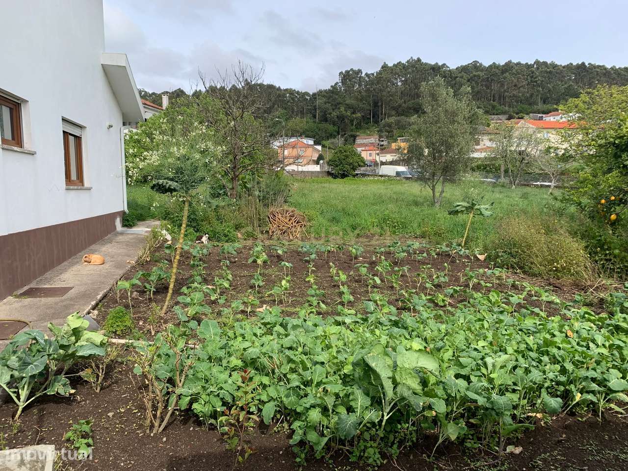 Moradia T7 com Vista Mar e Elevado Potencial em Areosa-35