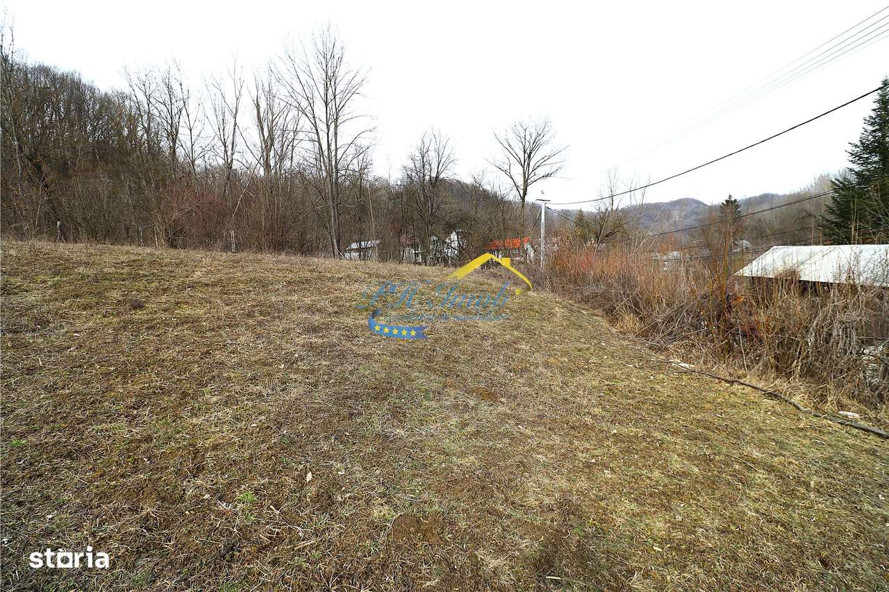 Teren Intravilan de vanzare, Provita de Sus-2