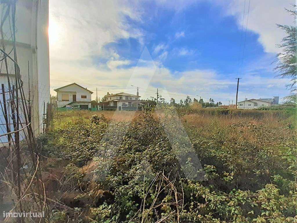 Terreno para construção em Mira - Grande imagem: 3/12