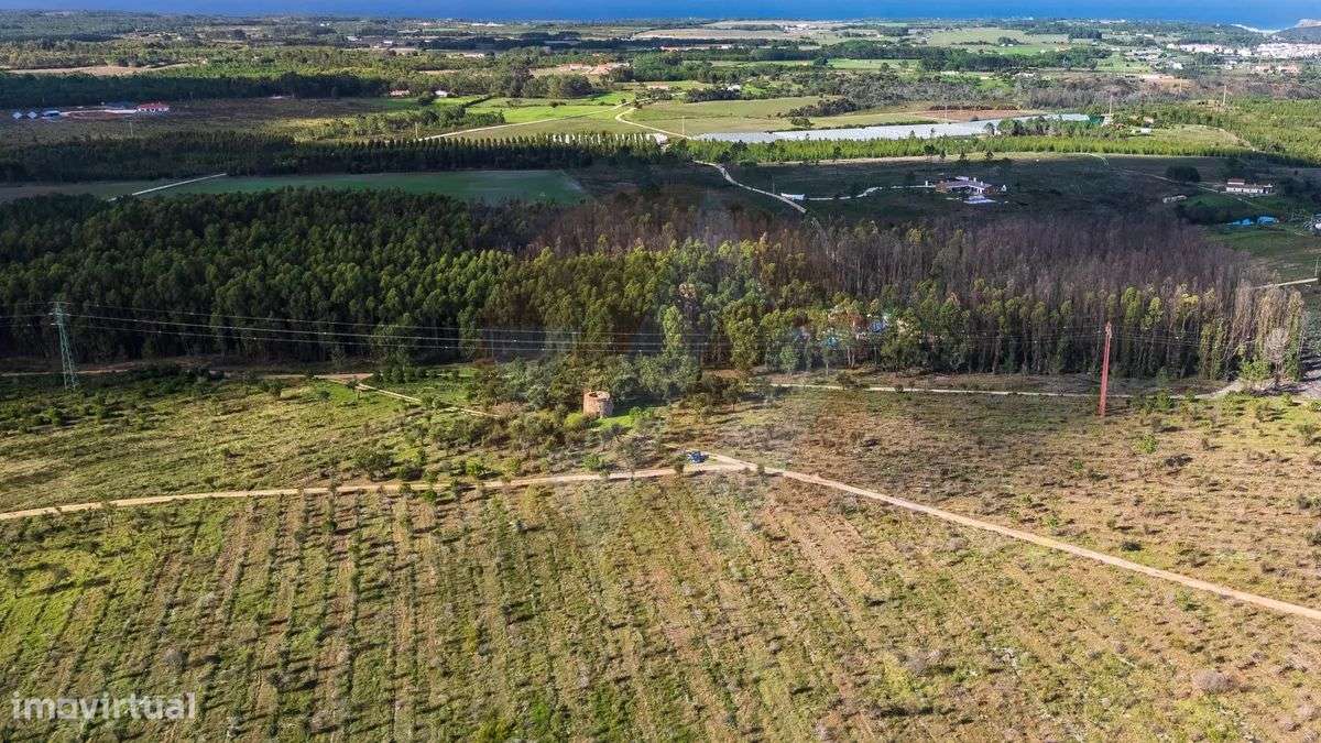 Herdade Agrícola com potencial turístico-5