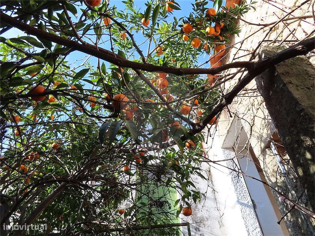 Moradia T2 para venda-22